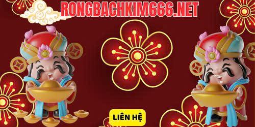 Liên hệ rồng bạch kim 666