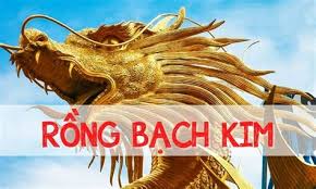 Rồng Bạch Kim 888