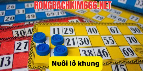 Nuôi lô khung 2-3-5 ngày chính xác tuyệt đối