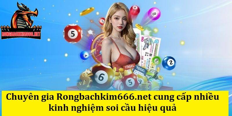 Chuyên gia Rongbachkim666.net cung cấp nhiều kinh nghiệm soi cầu hiệu quả