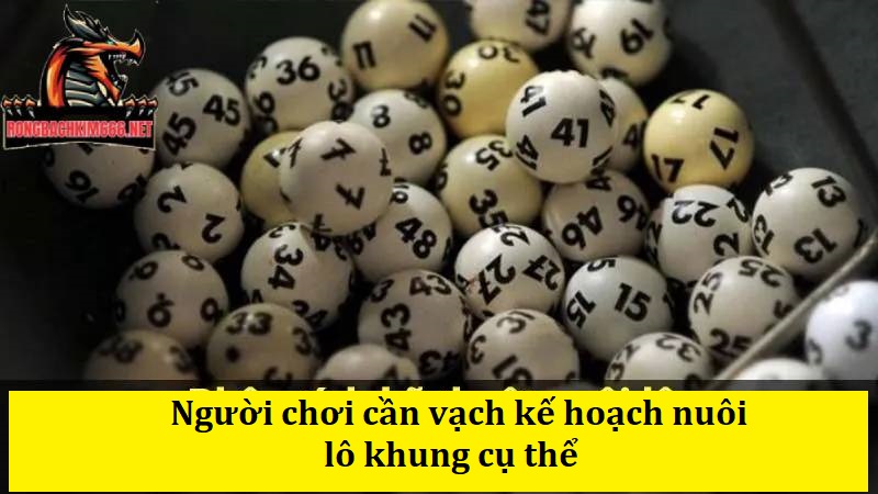 Người chơi cần vạch kế hoạch nuôi lô khung cụ thể