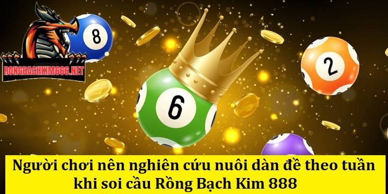 Người chơi nên nghiên cứu nuôi dàn đề theo tuần khi soi cầu Rồng Bạch Kim 888