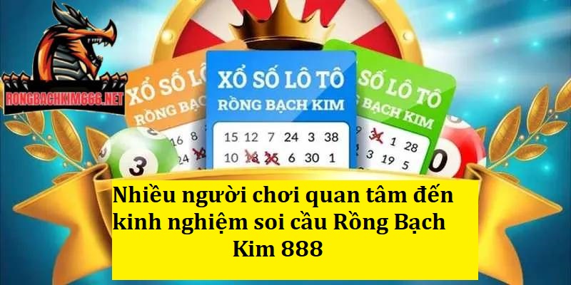 Nhiều người chơi quan tâm đến kinh nghiệm soi cầu Rồng Bạch Kim 888