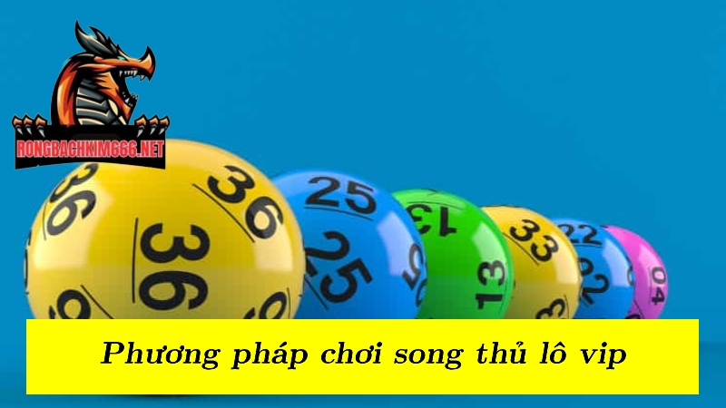 Phương pháp chơi song thủ lô vip soi cầu theo kết quả giải đặc biệt