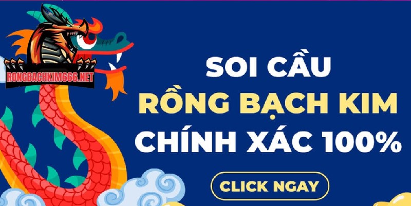 Bạn cần tìm Rồng bạch kim chính xác 100