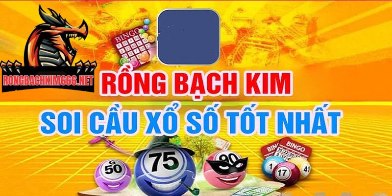 Có thể chọn Rồng bạch kim chính xác 100 theo bạc nhớ